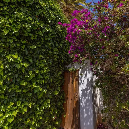 Casa El Barranco Feriehus Los Valles