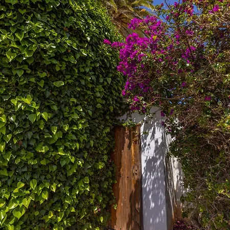 Casa El Barranco Holiday home Los Valles